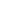 Theme Icon